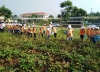 TRẢI NGHIỆM CHIA SẺ TẠI TH&THCS XUÂN TĂNG
