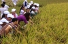 THAM QUAN HỌC TẬP, TÍCH HỢP NGOÀI THIÊN NHIÊN TẠI BẢN XEN HUYỆN MƯỜNG KHƯƠNG